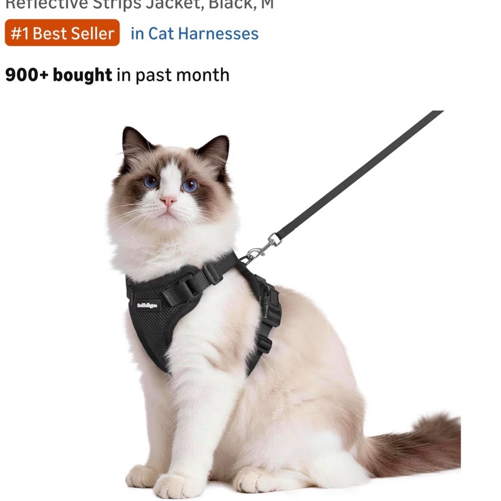 Size M cat harness